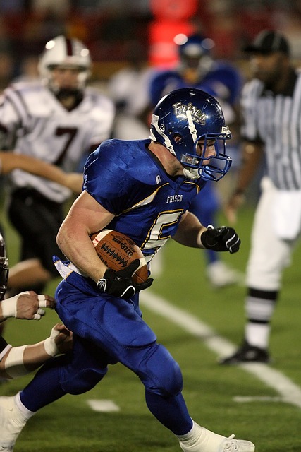 描绘了发展 描绘了发展