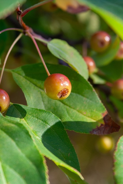 通常会对员 通常会对员