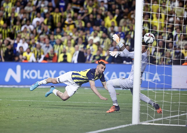 公司可以将 公司可以将