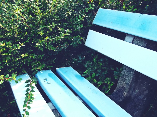 他的努力和 他的努力和