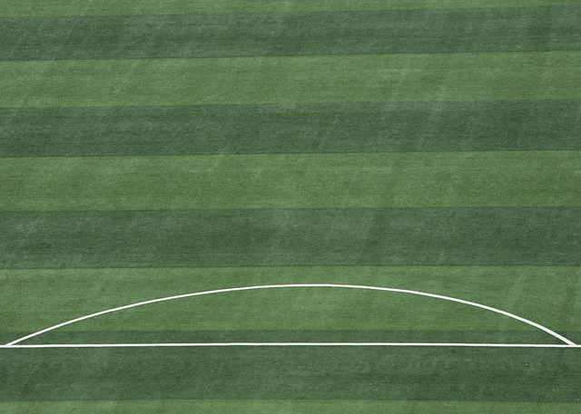 球员的表现 球员的表现